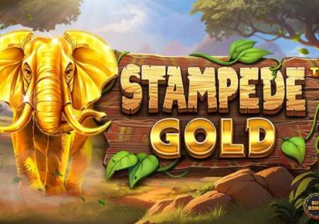 Stampede Gold Slot Review