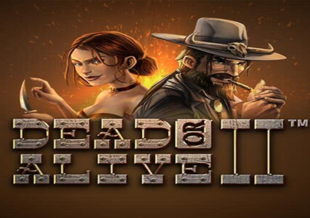 Dead or Alive 2 Slot Review